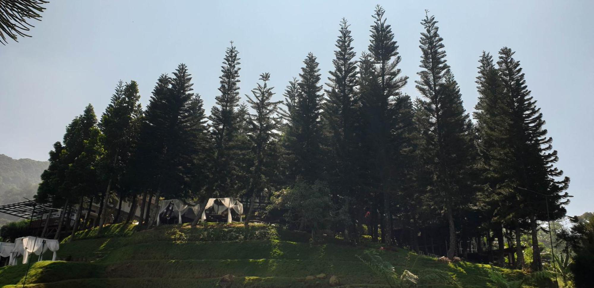 Damar Langit Resort Cisarua Eksteriør bilde